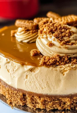 Biscoff Cheesecake