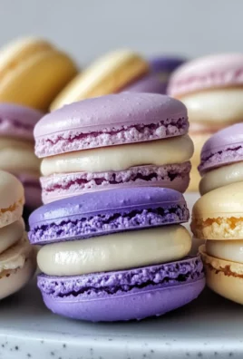 French Macaron Recipe