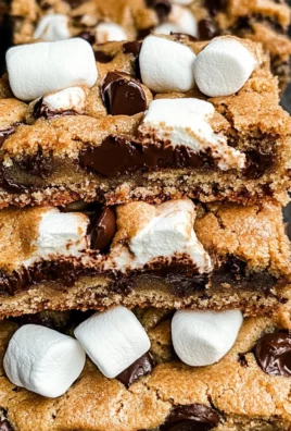S'mores Cookie Bars